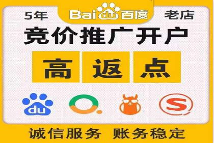 案例分析：SEM推广助力行业竞争突围